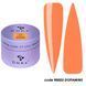 DNKa' Builder Gel #0053 Dopamine 15 ml
