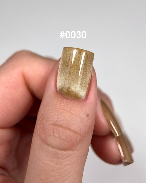DNKa' Color Gel Polish Cat's Eye Silk #0030