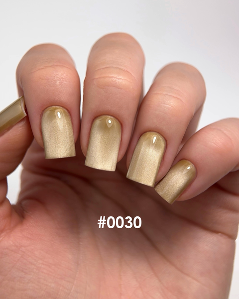DNKa' Color Gel Polish Cat's Eye Silk #0030