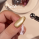 DNKa' Color Gel Polish Cat's Eye Silk #0030