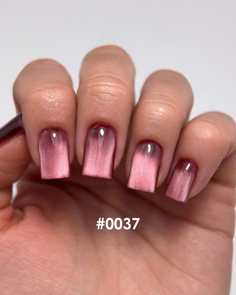 DNKa' Color Gel Polish Cat's Eye Silk #0037