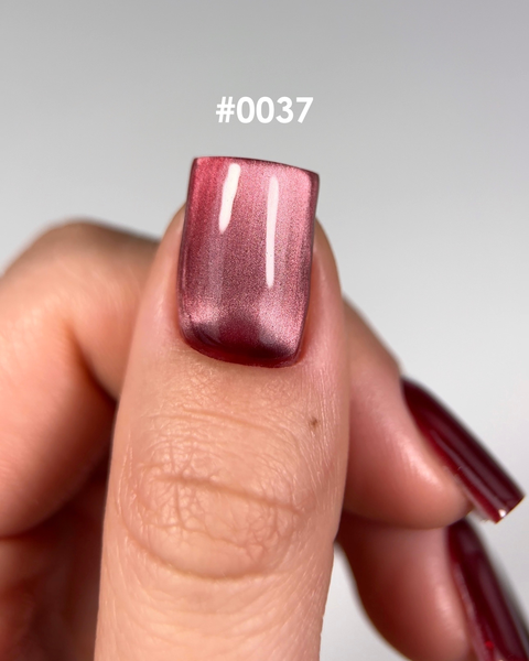DNKa' Color Gel Polish Cat's Eye Silk #0037